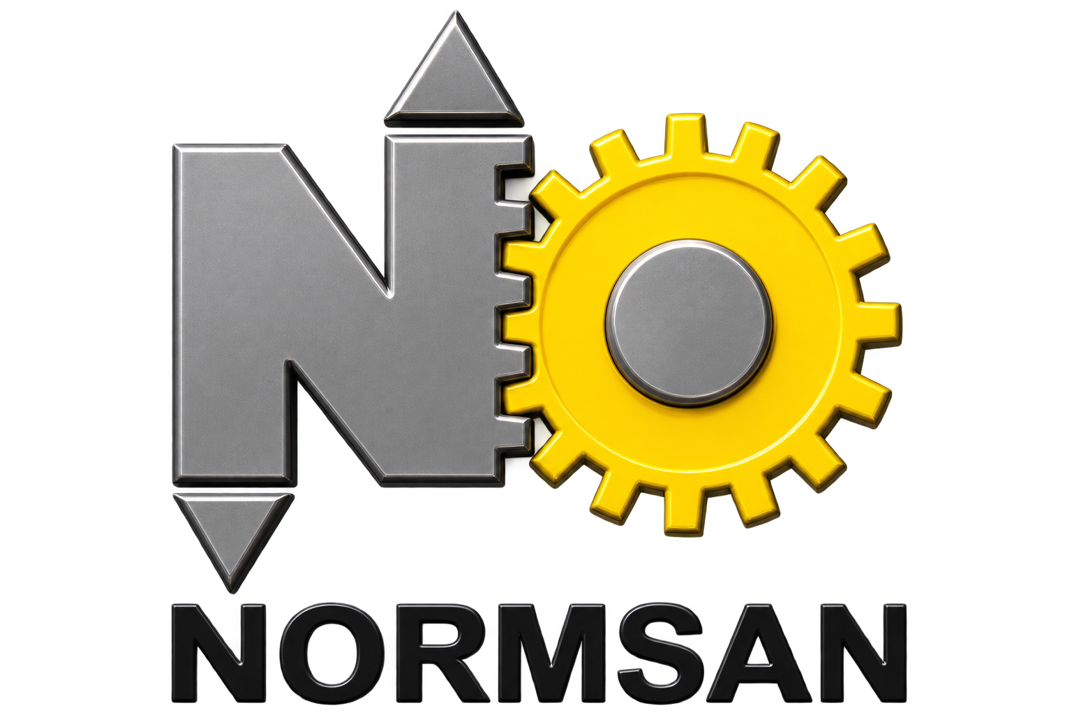 Normsan Lift Asansör